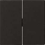 GIRA 0295005 0295005 Wippe 2f System 55 Schwarz m (295005)