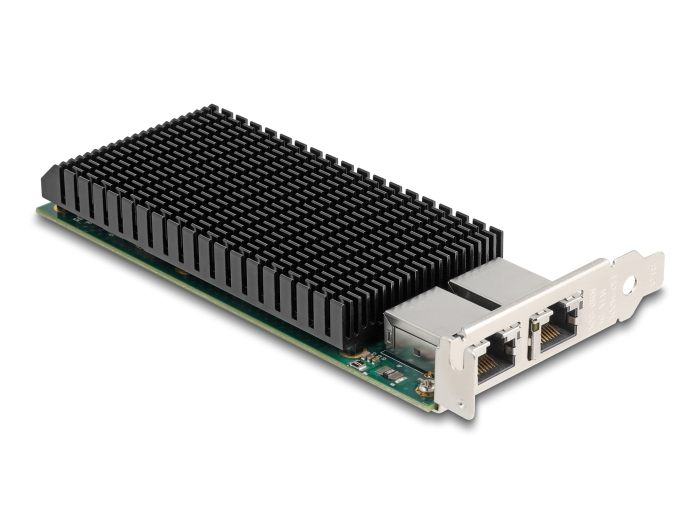 Delock Netzwerkkarte 88522 PCI Express 2.0 x8 10 GbE 2x RJ-45 Low-Profile Schwarz, Silber