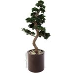 EUROPALMS LEICHTSIN TOWER-50, rot, glänzend (83011833)