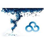 LANCOM Management Cloud (50133)