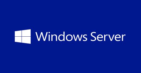 Microsoft Windows Server Datacenter Edition (P71-01031)