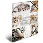 HERMA 19212 Pappe Mehrfarben Aktendeckel (19212)