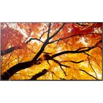 Sharp MultiSync M862 218,40cm (86") 4K UHD Digital Signage Display 550 cd/m² 24/7