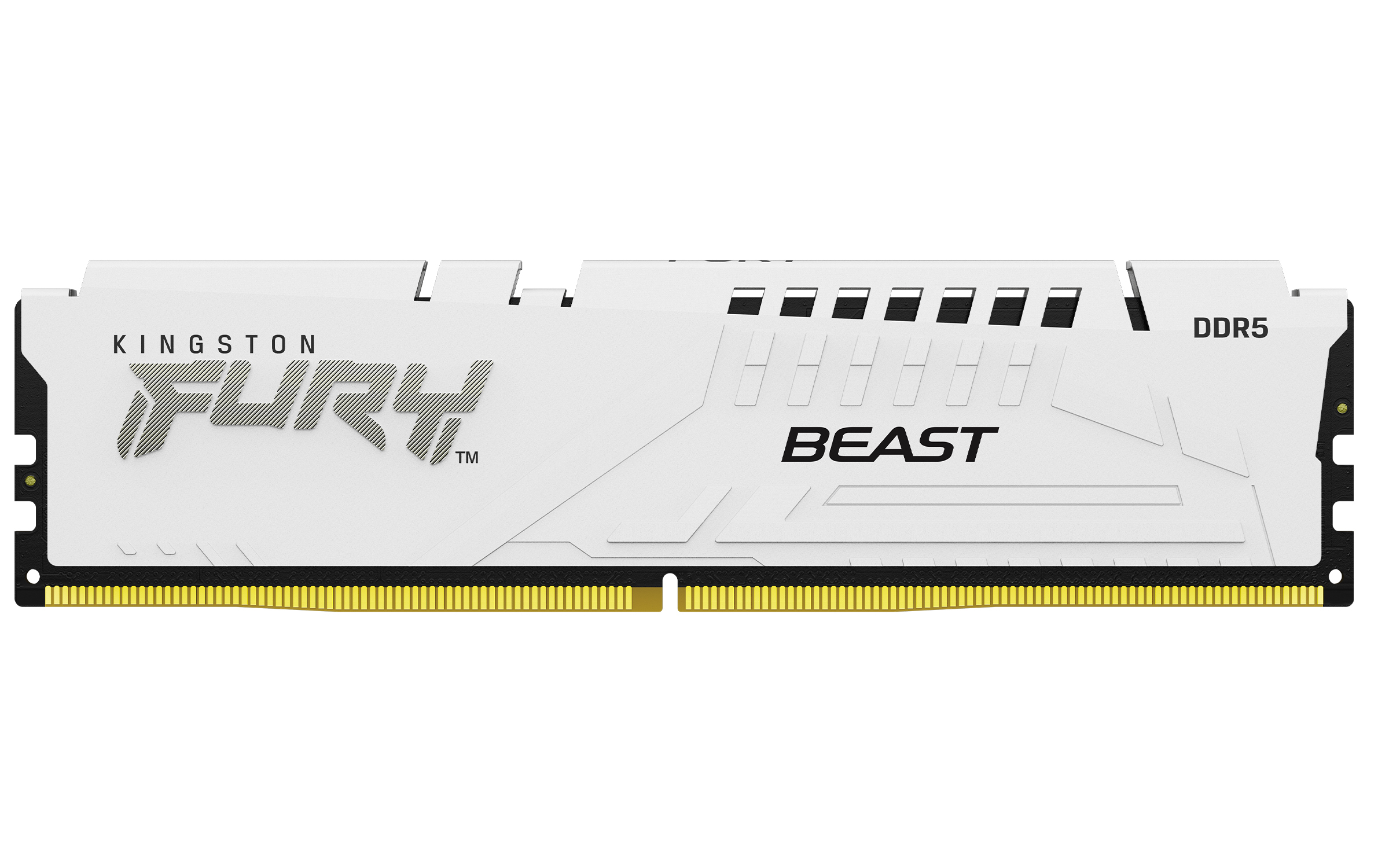 Kingston FURY Beast 32 GB RAM DDR5-6000 CL36 Kit Weiß