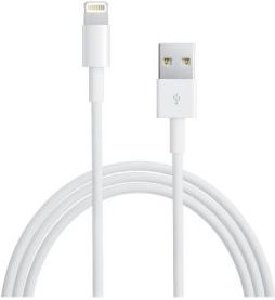 Apple Lightning auf USB Kabel (MD819ZM/A)