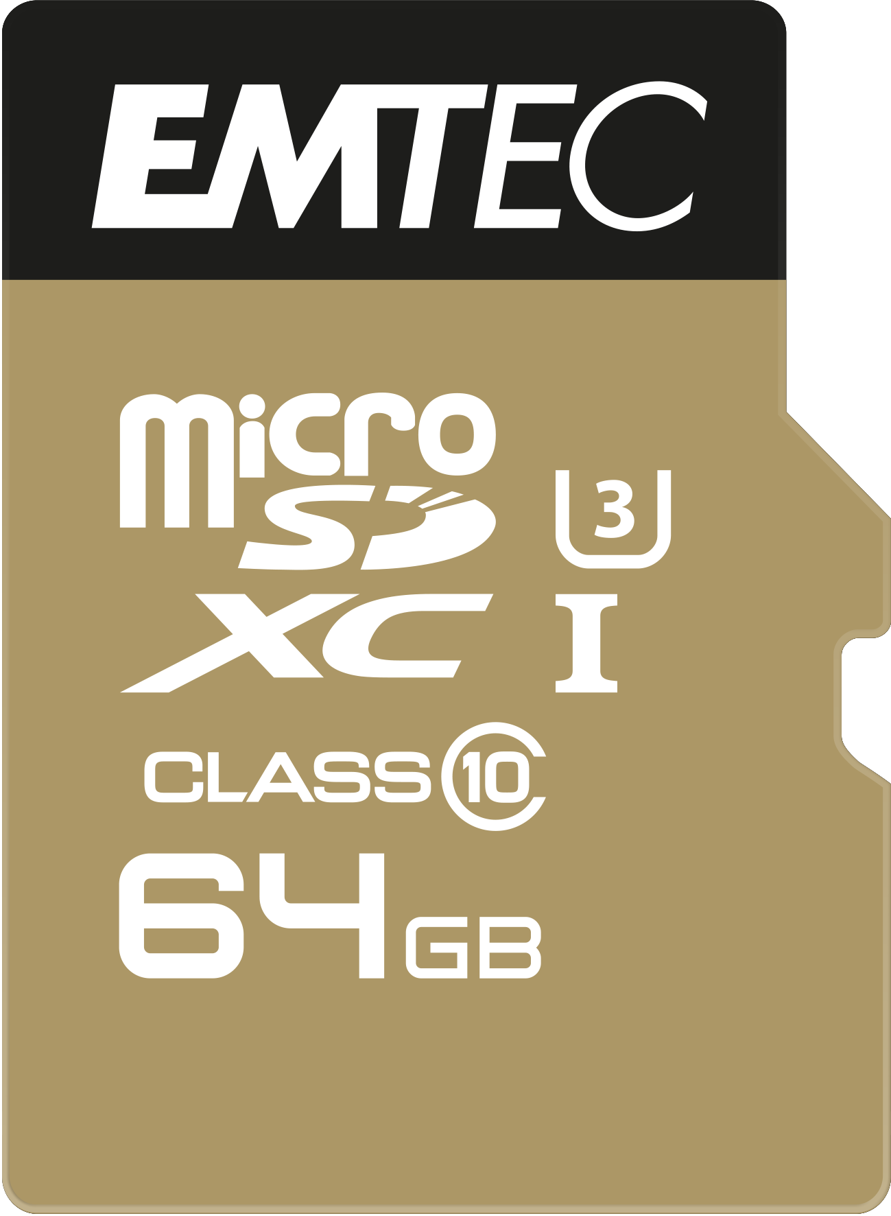 EMTEC Speedin Flash-Speicherkarte (microSDXC-an-SD-Adapter inbegriffen) (ECMSDM64GXC10SP)