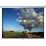 Elite Screens Manual Series M170XWS1 (M170XWS1)