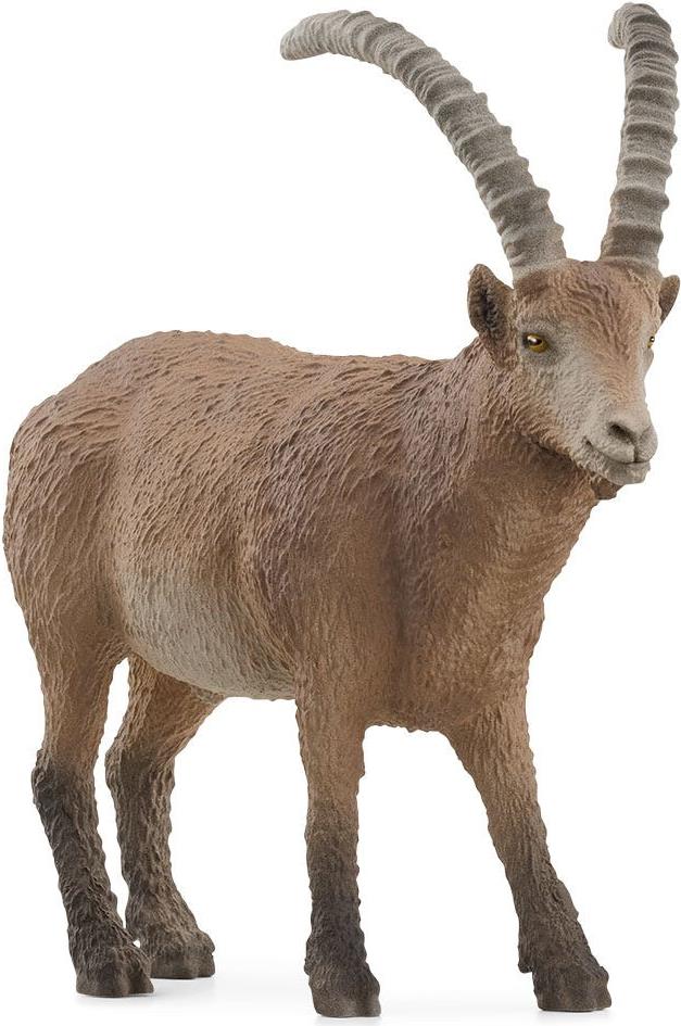 schleich WILD LIFE Steinbock. Empfohlenes Alter in Jahren (mind.): 3 Jahr(e), Produktfarbe: Braun (14873)