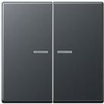 Jung Wippe 2-fach bel. anthrazit matt A 595 BF KO5 ANM (A595BFKO5ANM)