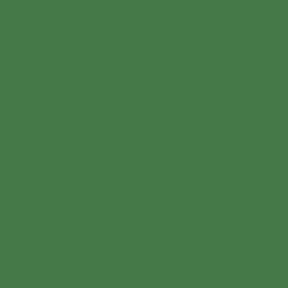 WALSER Walimex pro Hintergrundkarton 2,72x10m grün chroma (23070)