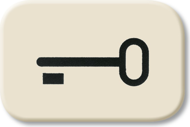 BUSCH-JAEGER Tastersymbol Schl. Wippe 2520 2525TR Duro 2000 SI 2525TR (1433-0-0440)