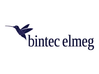 Teldat BinTec ANT-4G-LTE-Cross-Pol LTE/UMTS Außenantenne 8 dBi SMA Grau