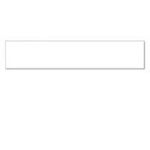 Seiko Instruments 36 x 190 mm 110 Stck. Etiketten (16.06.2038)