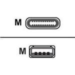 Equip USB-Kabel USB (M) zu 24 pin USB-C (M) (128363)