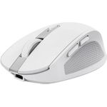 Trust Ozaa Maus kompakt, Multi-Gerät (24933)