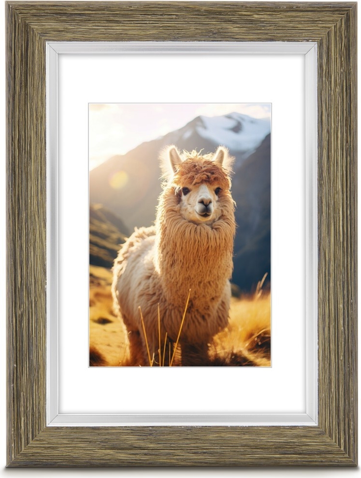 Hama Kunststoffrahmen Lima, Oliv, 10 x 15 cm (00193235)