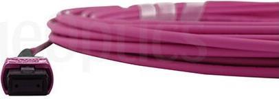 Kompatibles Lenovo AV28 BlueOptics LWL Trunkkabel, MPO/UPC zu MPO/UPC, 15 Meter, Multimode G50/125µm, OM4, Markenfaser, 3.0mm LSZH magenta, 12 Kerne, Typ B, MPO Stecker ohne Pins, inkl. Messprotokoll (AV28-BO)