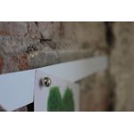 MAUL Neodym-Kugelmagnet, Durchmesser: 15 mm, nickel Haftkraft: 4 kg - 1 Stück (6167696)