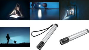 Ansmann LED Taschenlampe Daily Use 150B inkl. 2xAA 1600-0428 (1600-0428)