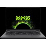 Schenker XMG EVO 14 Notebook 35,6 cm (14") (10506387)