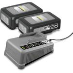 Kärcher Starter Kit Battery Power+ 18/30 2.445-072.0 Werkzeug-Akku und Ladegerät 3 Ah Li-Ion (2.445-072.0)
