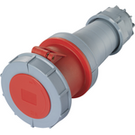 Sygonix SY-6790602 CEE Kupplung 125 A 5polig 400 V/AC 1 St. (SY-6790602)