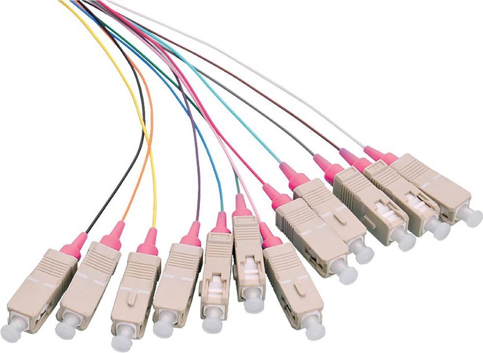 LOGON LFP035 InfiniBand/Glasfaserkabel 2 m 12x SC Mehrfarbig (LFP035)
