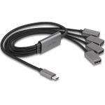DeLOCK 64210 Schnittstellen-Hub USB 2.0 Type-C 480 Mbit/s Schwarz - Grau (64210)