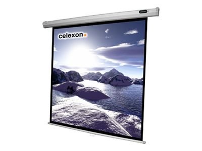 Celexon Economy Manual Screen 1:1 160 x 160 cm Leinwand Schwarz, Weiß
