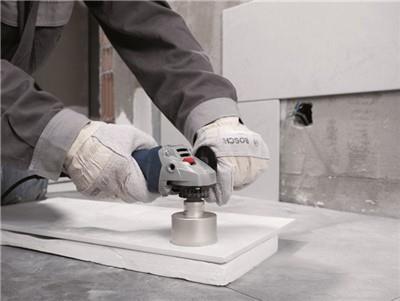 Bosch Accessories Dry Speed 2608599039 Diamant-Trockenbohrer 6 mm 1 St.