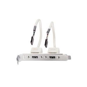 Lindy USB-Konsole USB Typ A, 4-polig (W) (33147)