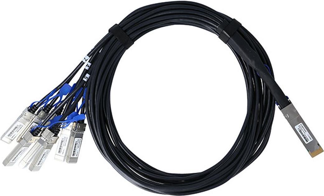 BLUELAN © passives 400GBASE-CR8 QSFP-DD auf 8x50GBASE-CR SFP56 Breakout Direct Attach Kabel, 2 Meter