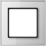 Jung AC 581 GL WW Wandplatte/Schalterabdeckung Transparent (AC 581 GL WW)