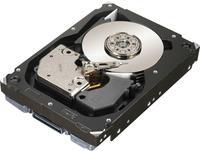 Dell Festplatte 300 GB (H8DVC)