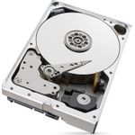 Seagate IronWolf ST10000VN000 (ST10000VN000)