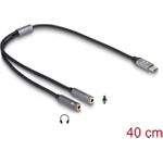 Delock Adapter USB-C auf Klinkenstecker (66616)