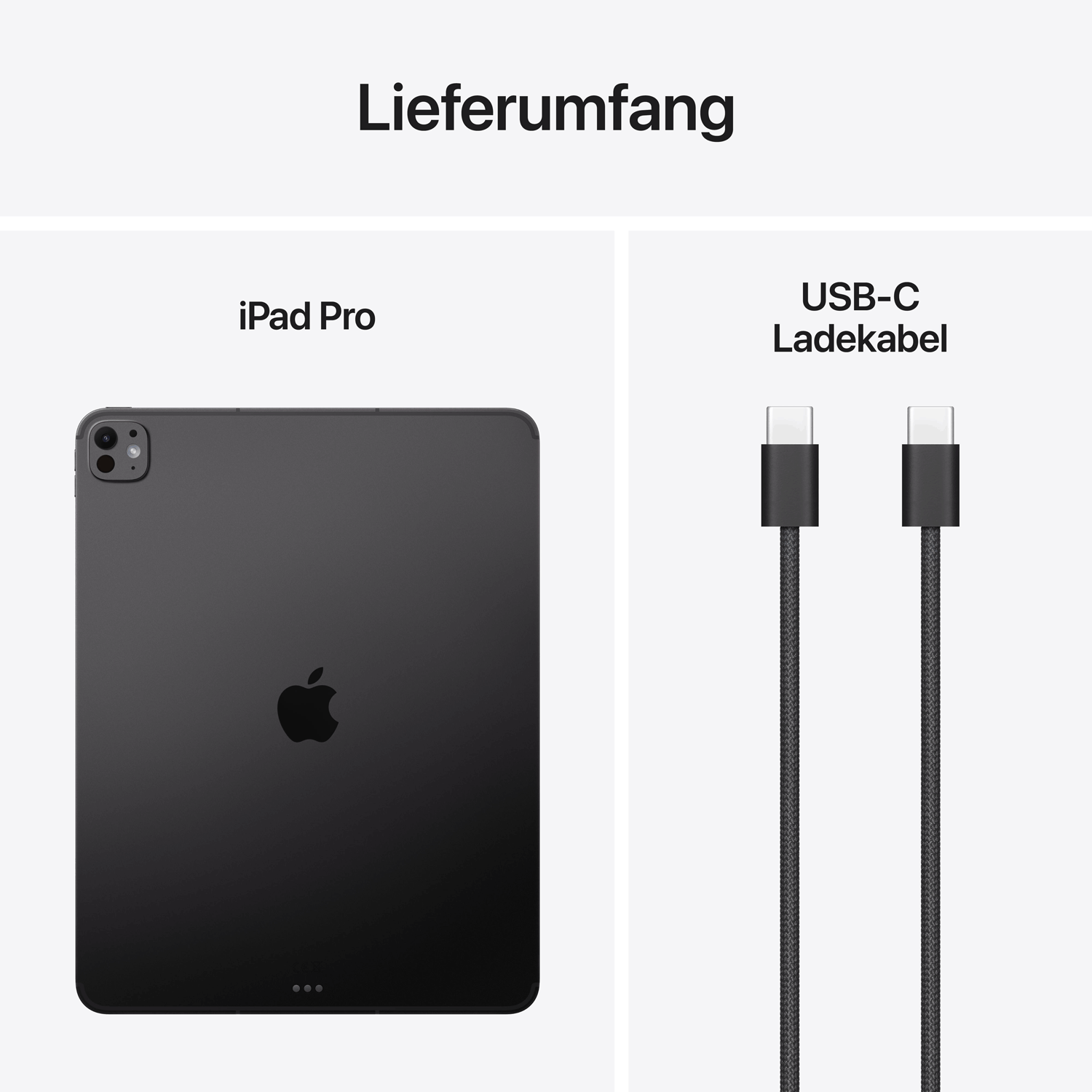 Apple 13'' iPad Pro Wi‑Fi + Cellular 256GB mit Standdardglas - Space Schwarz