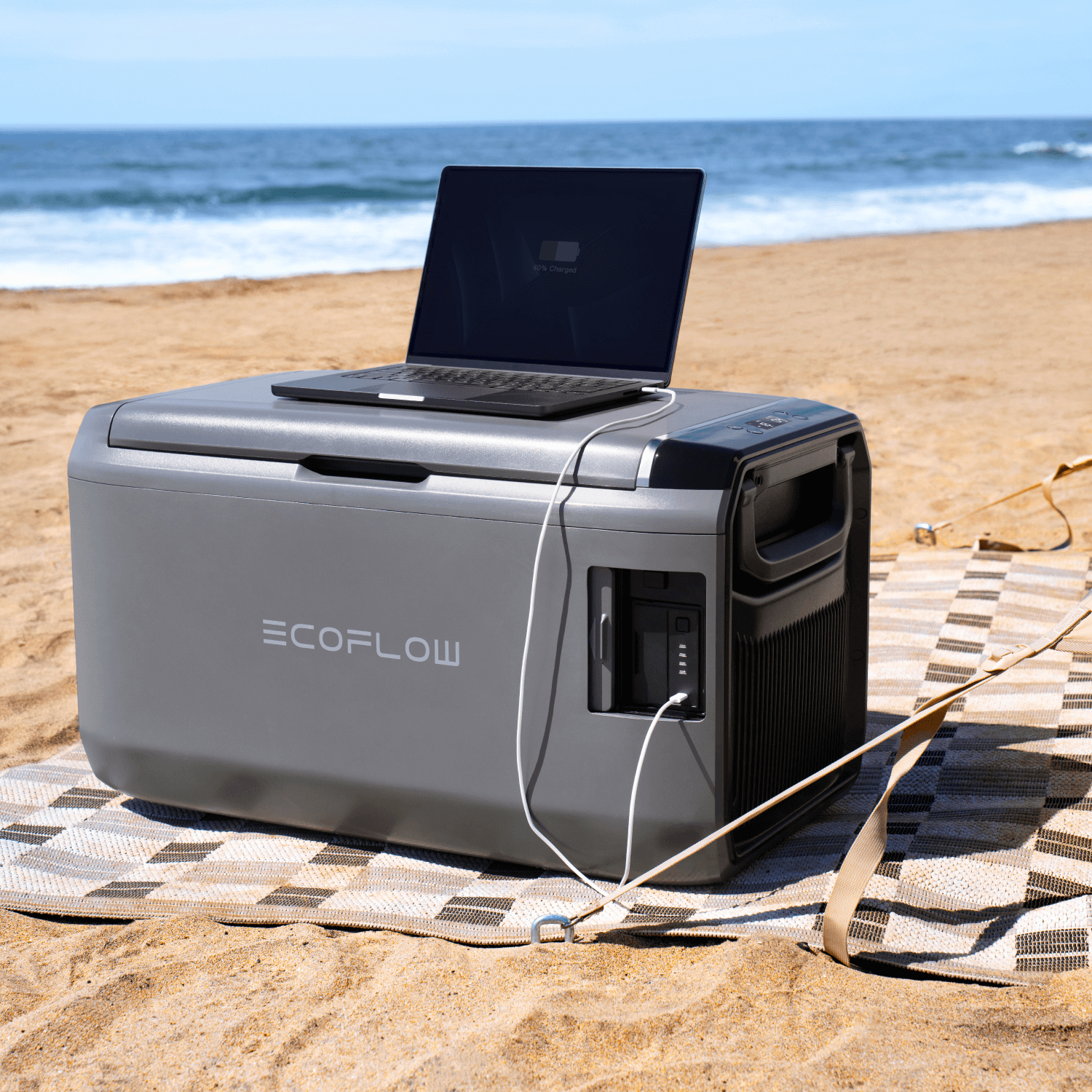 EcoFlow GLACIER Classic 55L 55 l Grau