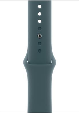 Apple Uhrarmband für Smartwatch (MXLR3ZM/A)