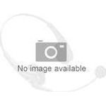 AVer Funkmikrofon-Set für PA511D AW111 (61AW111000AB)