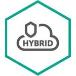 Kaspersky Hybrid Cloud Security Server (KL4255XAETD)