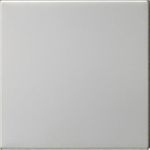 GIRA 5360600 S3000 Bedienaufs. System 55 Edelstahl (5360600)