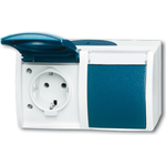 BUSCH-JAEGER Schuko-Doppelsteckdose 20/2EWN-53 ocean waager. mit Namesschild 20/2EWN-53 (2084-0-0703)