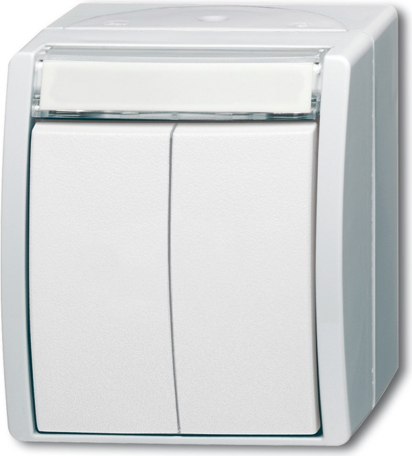 Busch Jaeger 1484-0-0379 Lichtschalter Weiß (1484-0-0379)