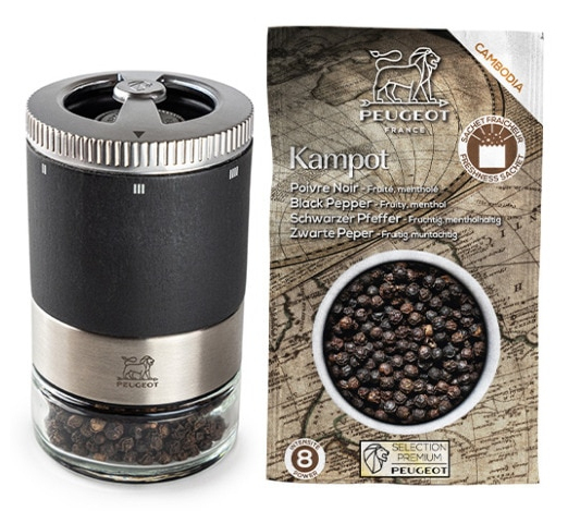 Peugeot Saveurs MAESTRO Pfeffermühle 11 cm Graphit