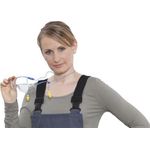 3M Schutzbrille ToraCCS EN 166 Bügel blau,Scheiben klar PC 3M (TORACCS)