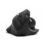 Port Designs Maus ERGONOMIC RECHARGEABLE BLUETOOTH TRACK BALL Ergonomic Rechargeable Professional Maus with Trackball (900719)