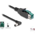 Delock PoweredUSB Kabel Stecker 12 V zu DC 5,5 x 2,1 mm Stecker gewinkelt 1 m (80011)