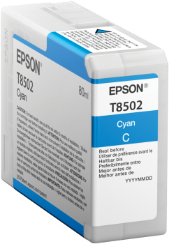 Epson T850200 High Capacity (C13T850200)
