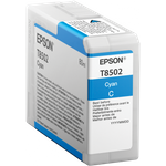 Epson T850200 High Capacity (C13T850200)